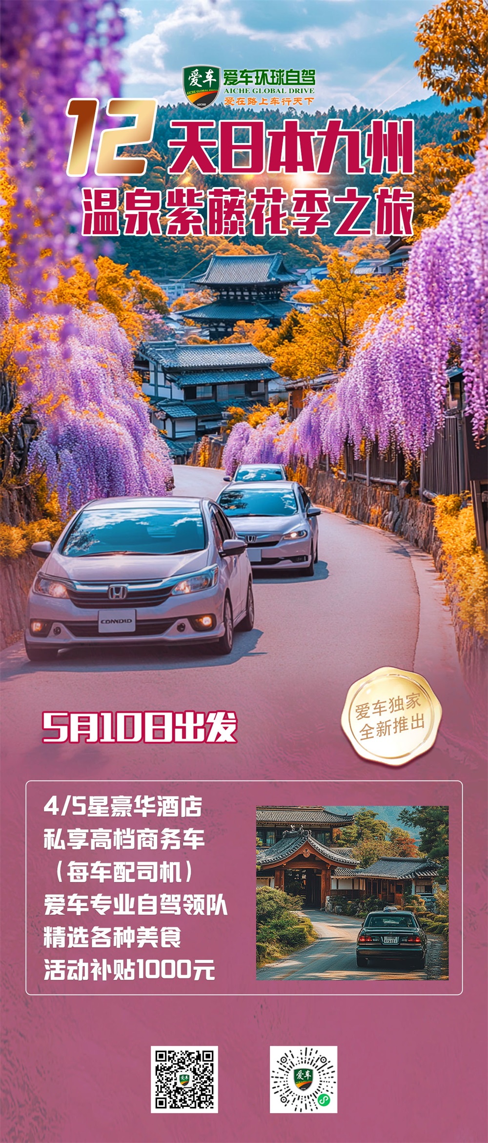 紫藤 拷贝_看图王